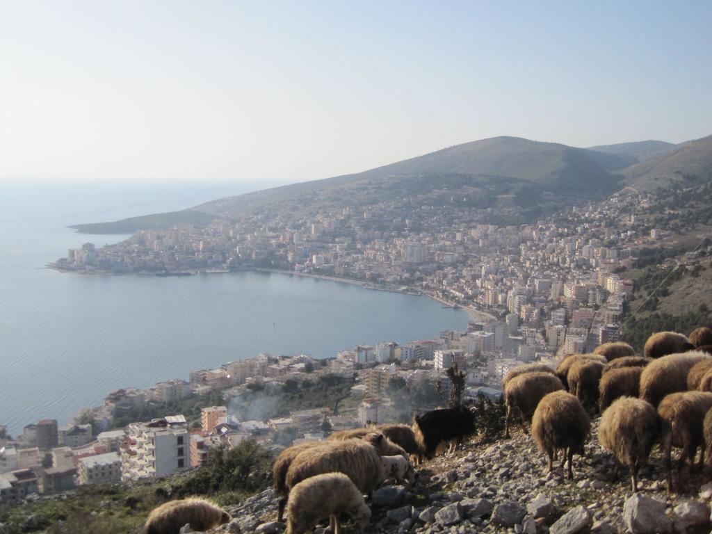 Hairy Lemon Sarandë